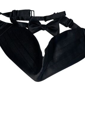 Robert Talbott Protocol Silk Satin Bow tie Cummerbund set Wedding Prom